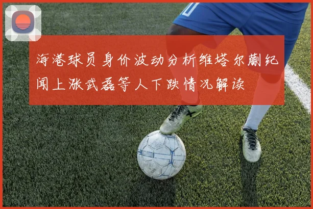 海港球员身价波动分析维塔尔蒯纪闻上涨武磊等人下跌情况解读