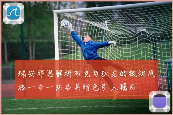 瑞安邓恩解析布克与狄龙的极端风格一冷一热各具特色引人瞩目