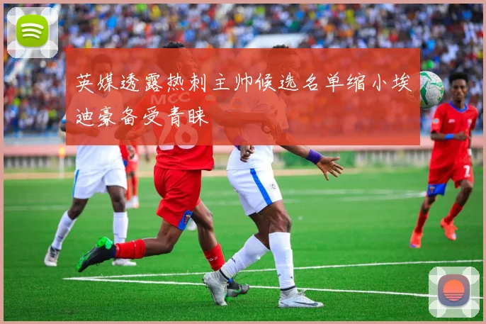 英媒透露热刺主帅候选名单缩小埃迪豪备受青睐