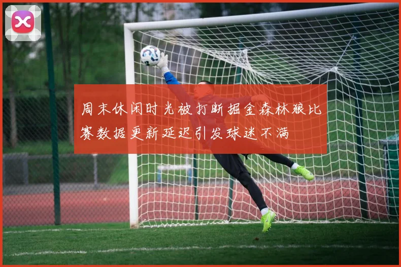 周末休闲时光被打断掘金森林狼比赛数据更新延迟引发球迷不满