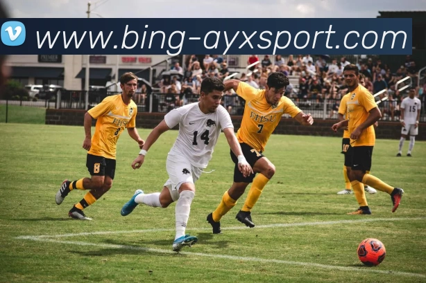 爱游戏体育平台生态图