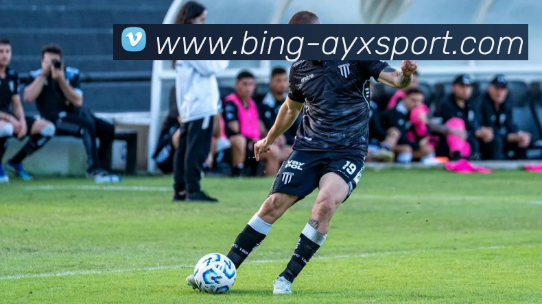 爱游戏体育APP 封面图